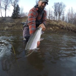 Meet your Posher, David